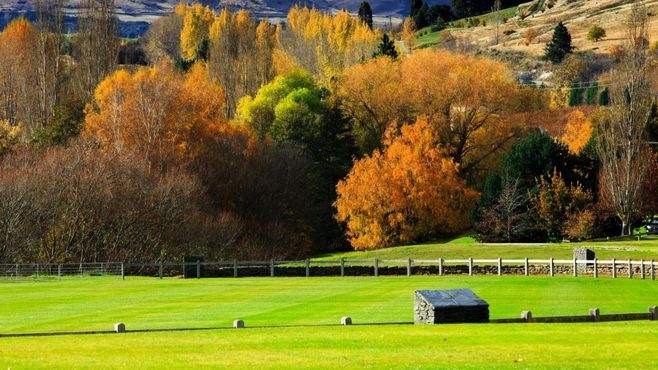 注冊新西蘭公司需要注意哪些事項(xiàng)?