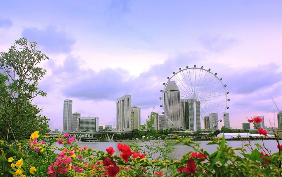 新加坡公司哪些情況需要進行報稅?