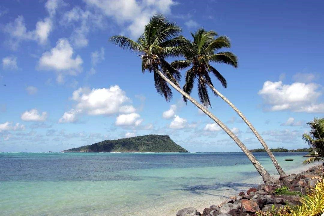 申請暫停薩摩亞公司,需要支付什么費用嗎?